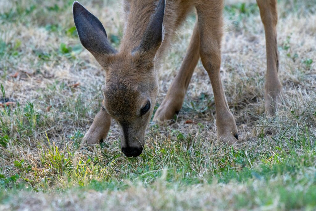 Beitragsbild von Hallo Welt